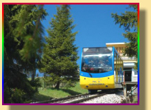 POLTURIZM ����� � ������ ������ ������